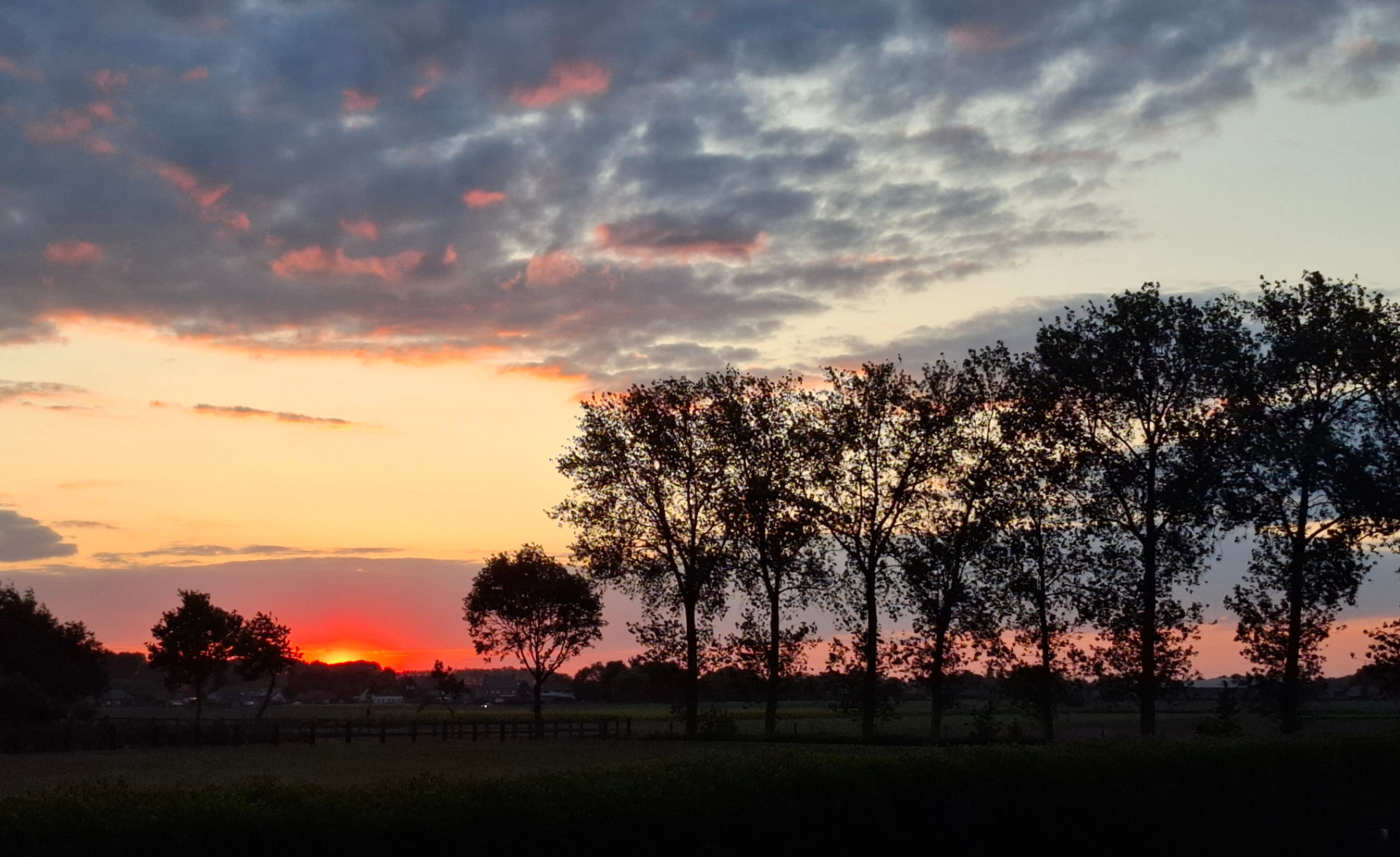 Zonsondergang achter de bomenrij